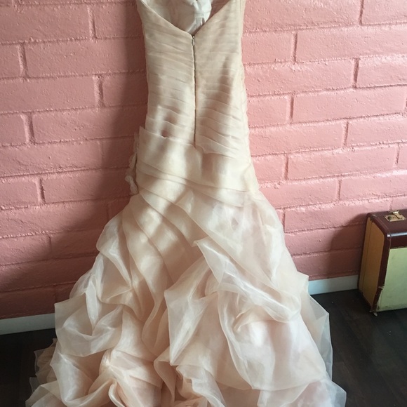 Blush wedding gown - Picture 3 of 5